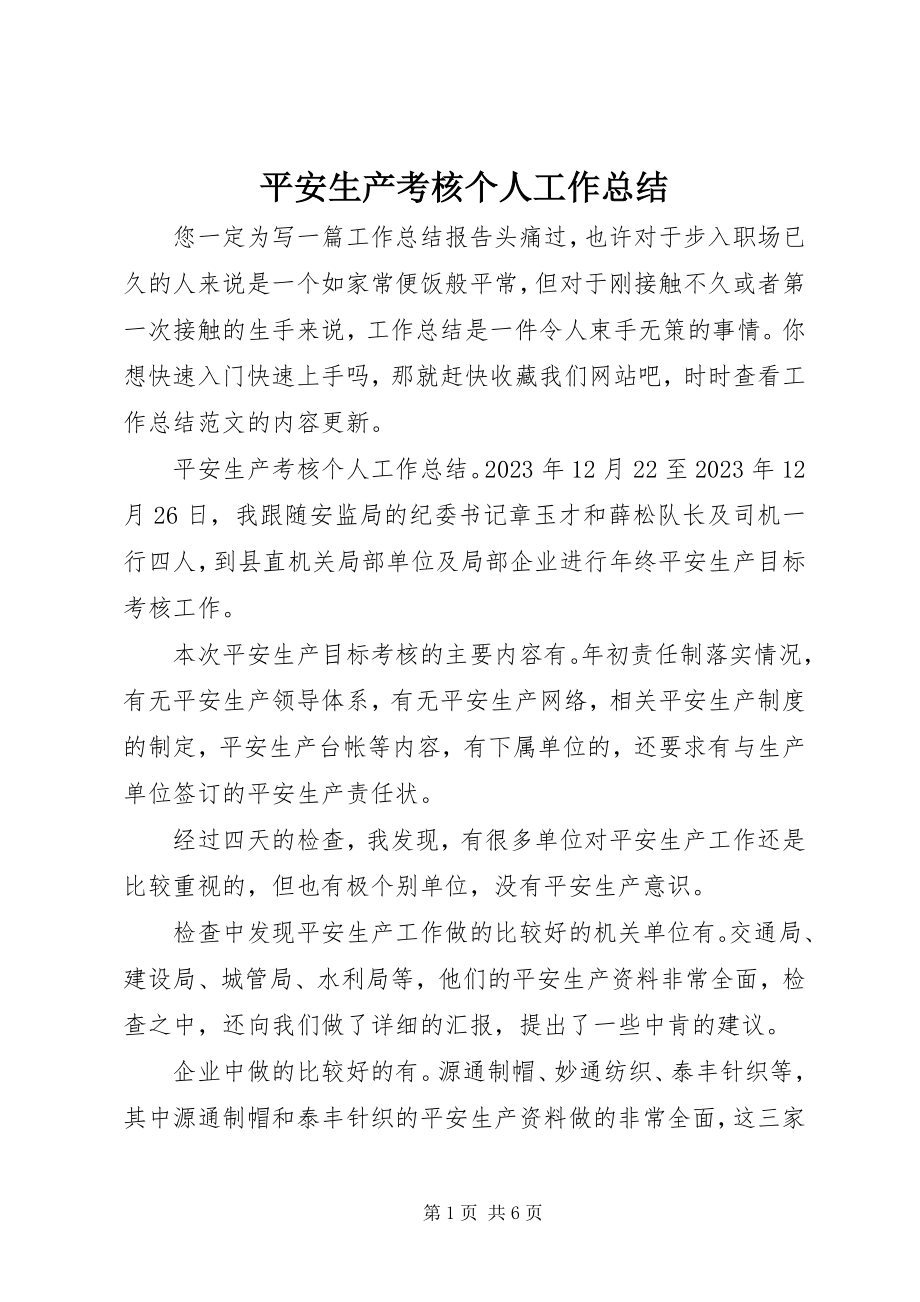 2023年安全生产考核个人工作总结新编.docx_第1页