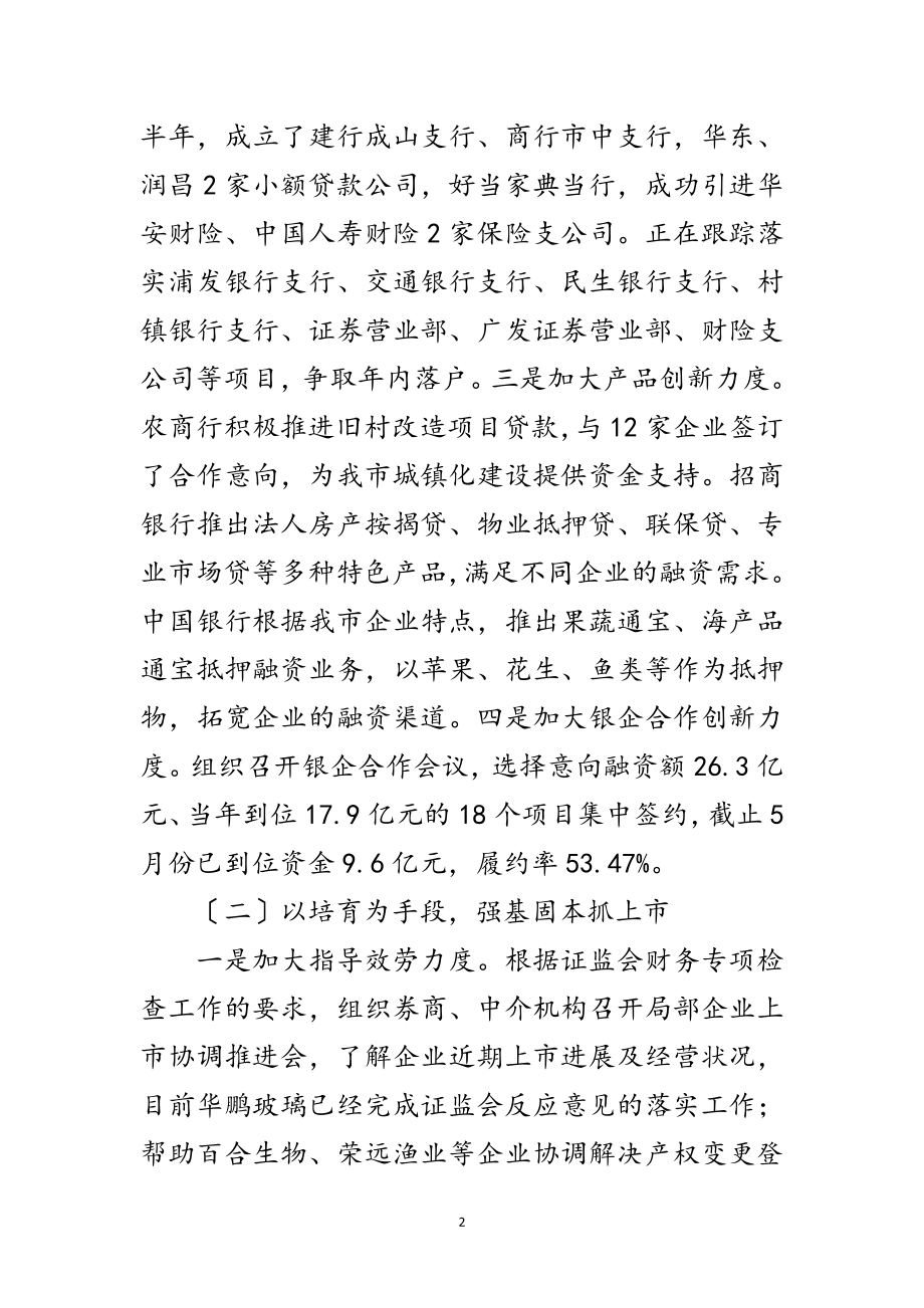 2023年金融办年半年工作总结范文.doc_第2页