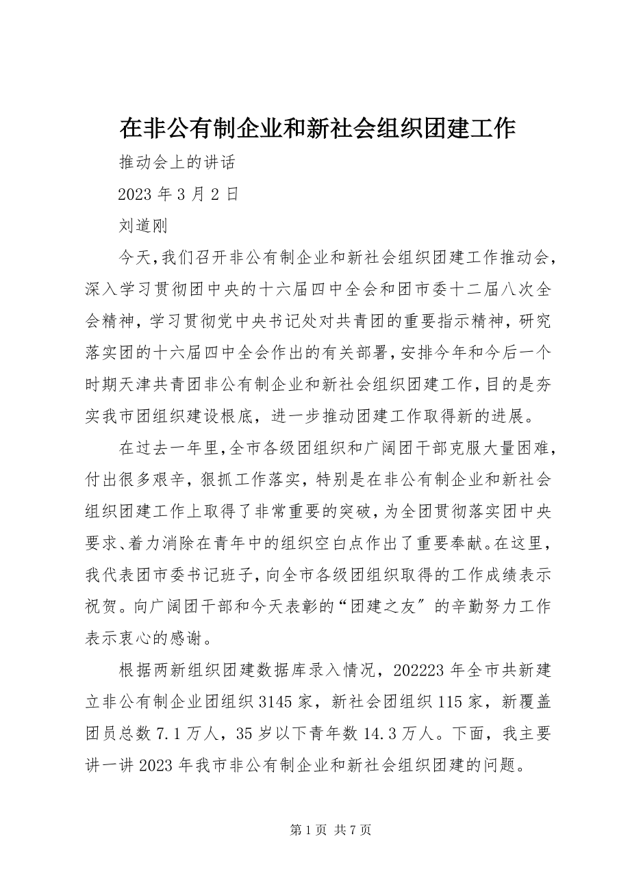 2023年在非公有制企业和新社会组织团建工作.docx_第1页