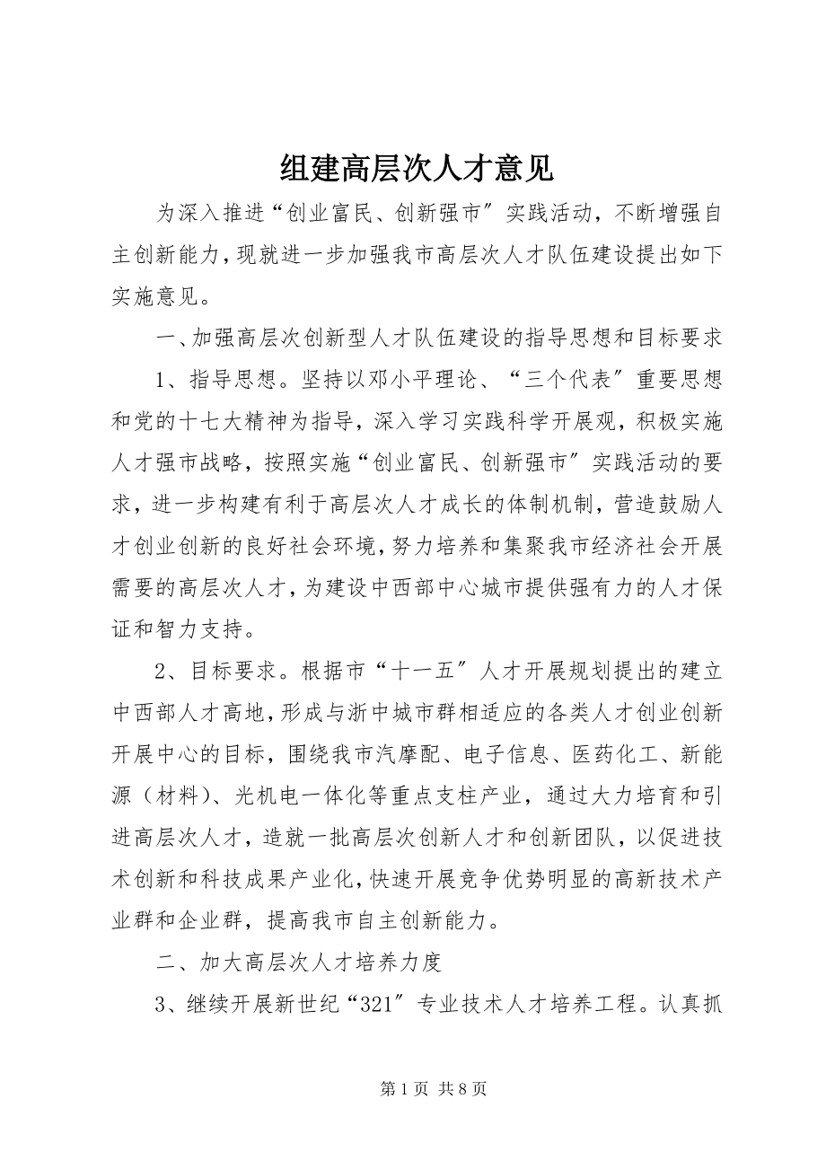 2023年组建高层次人才意见.docx_第1页