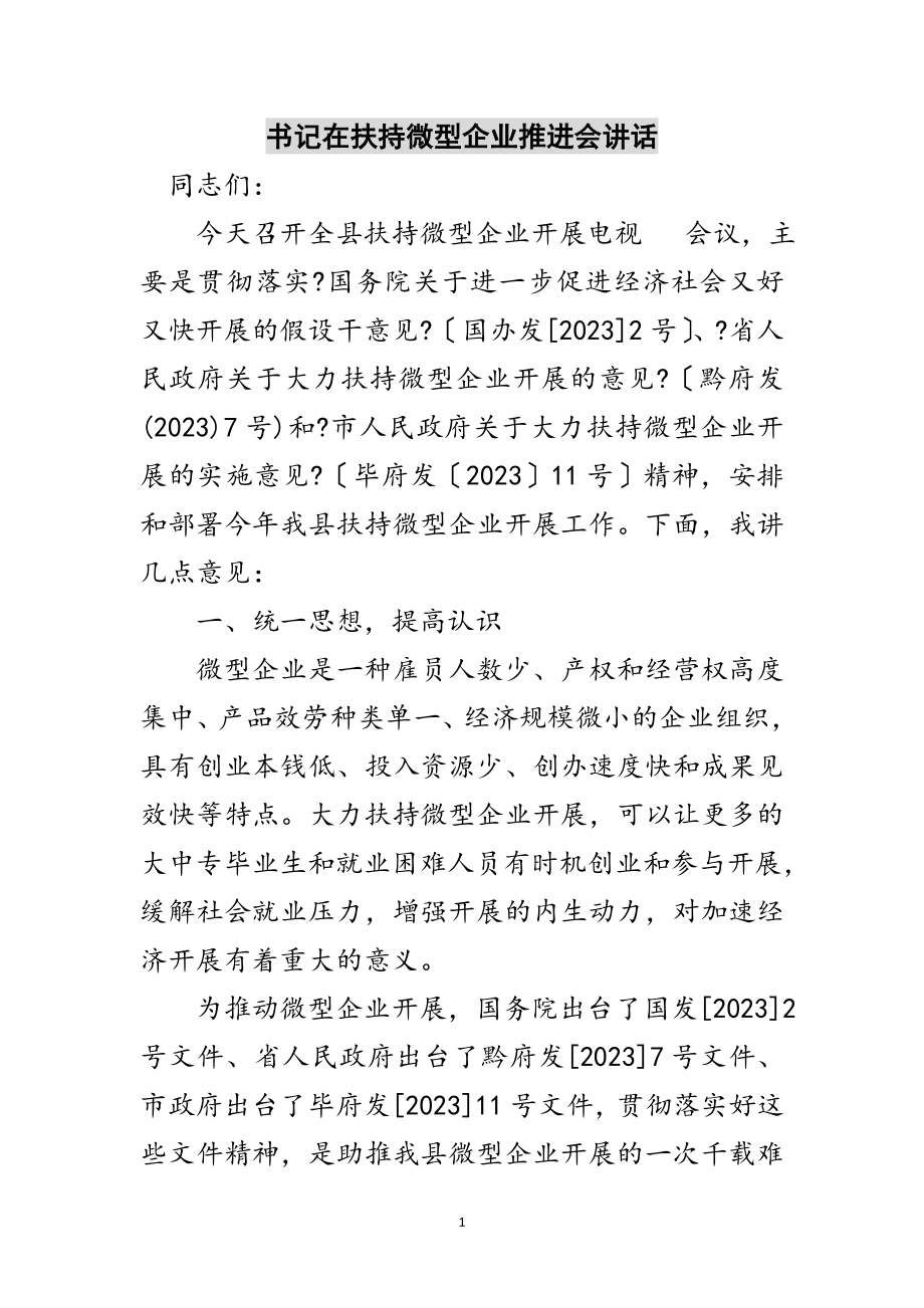 2023年书记在扶持微型企业推进会讲话范文.doc_第1页