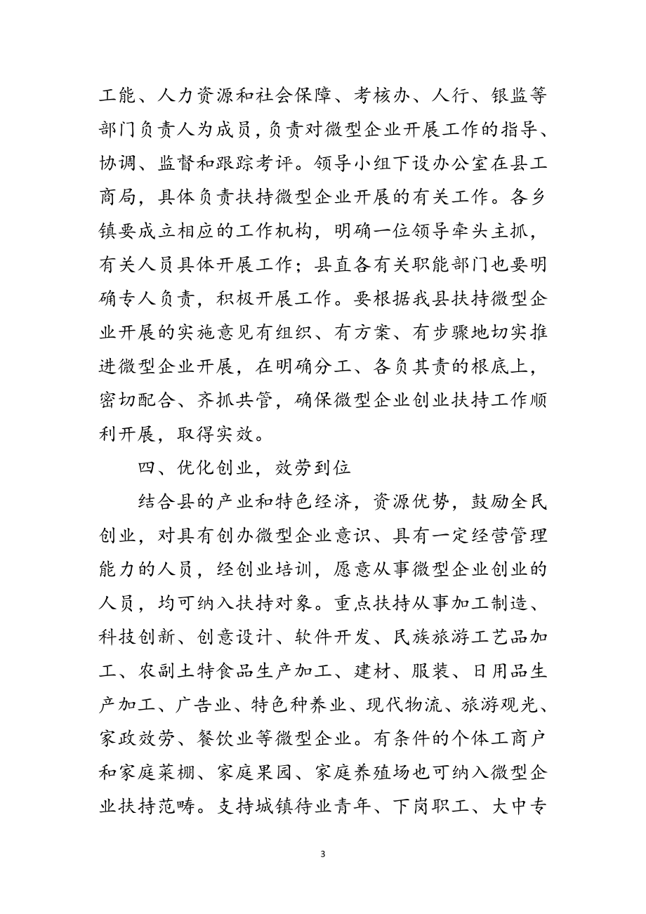 2023年书记在扶持微型企业推进会讲话范文.doc_第3页