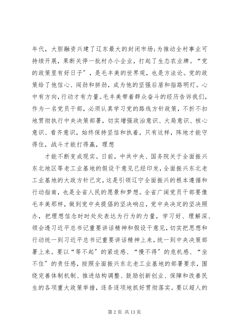 2023年“学习毛丰美实干促振兴”的体会字新编.docx_第2页