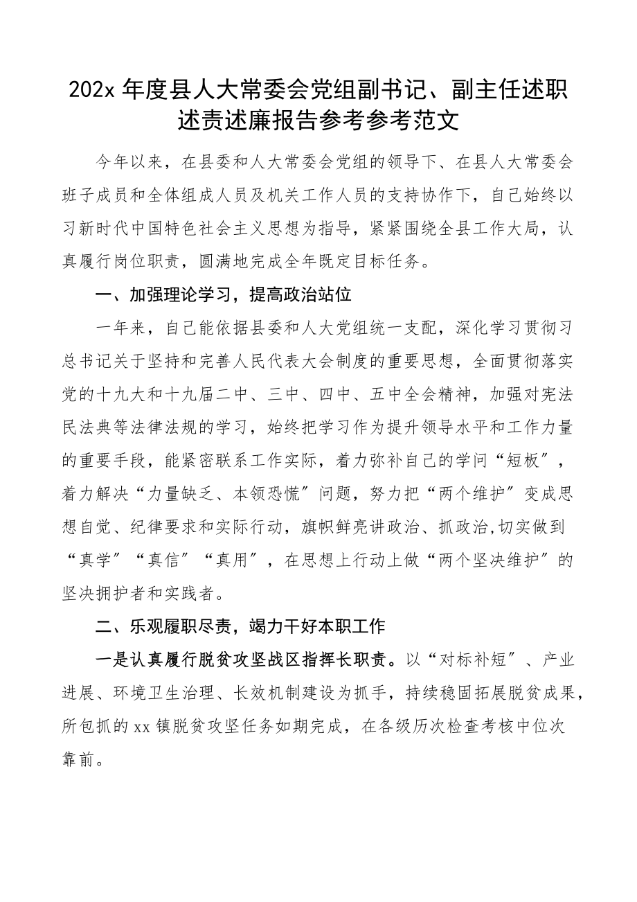 2023年县人大党组副书记副主任述职述责述廉报告.doc_第1页