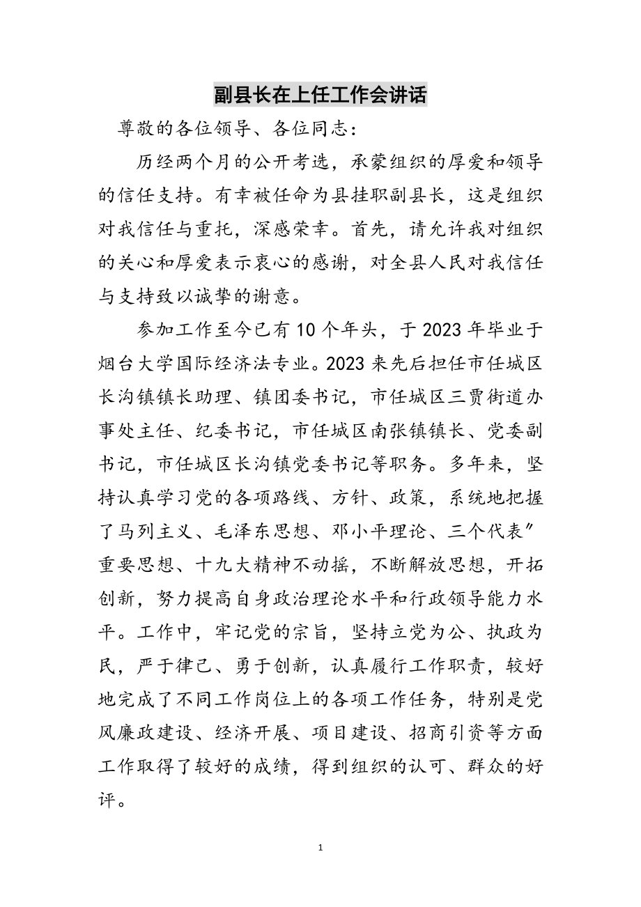 2023年副县长在上任工作会讲话范文.doc_第1页