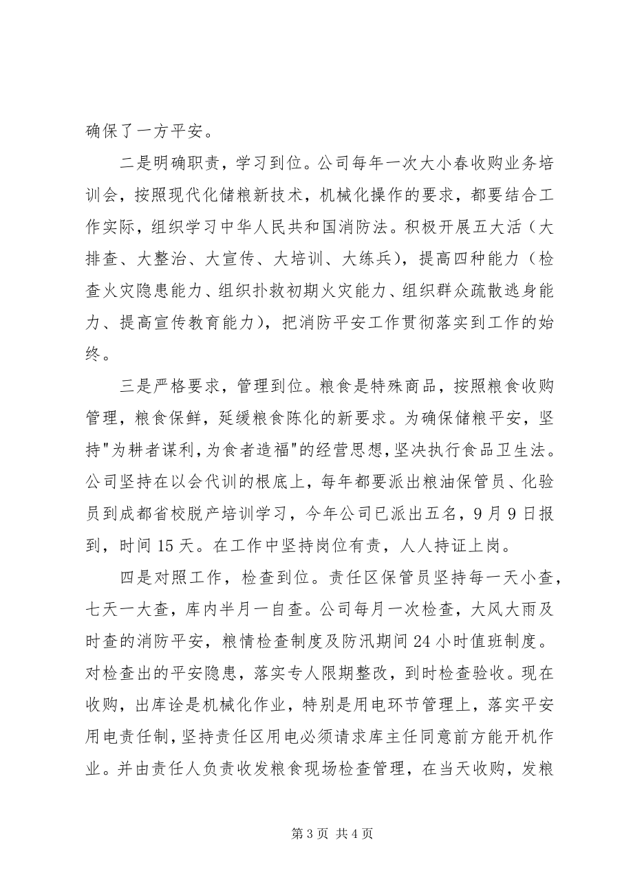 2023年粮食局消防安全大排查大整治活动工作总结.docx_第3页