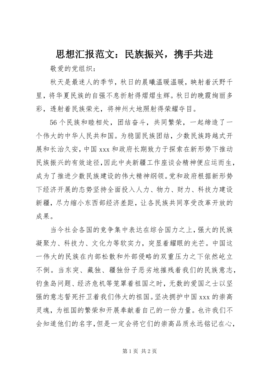 2023年思想汇报民族振兴携手共进.docx_第1页