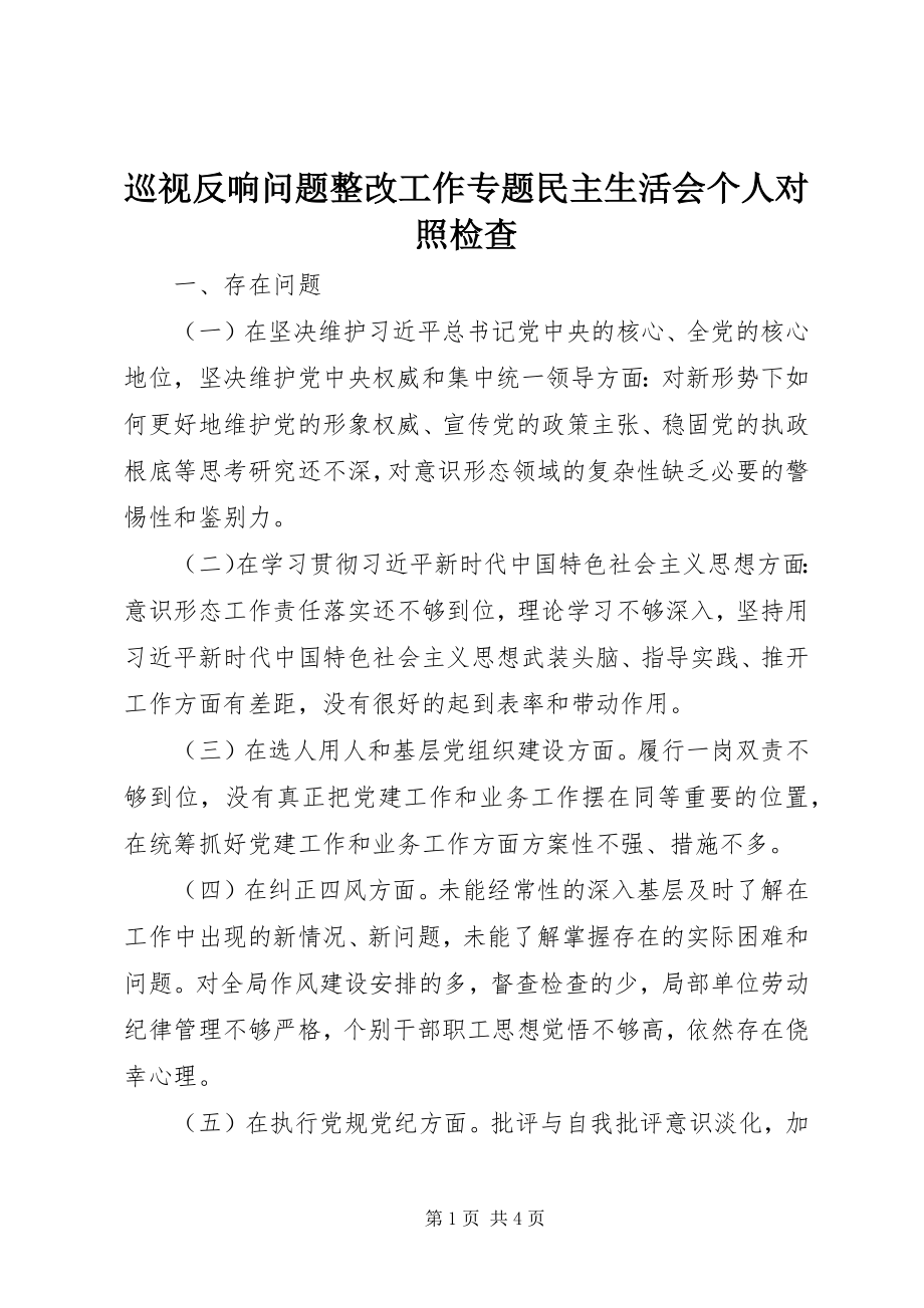 2023年巡视反馈问题整改工作专题民主生活会个人对照检查.docx_第1页