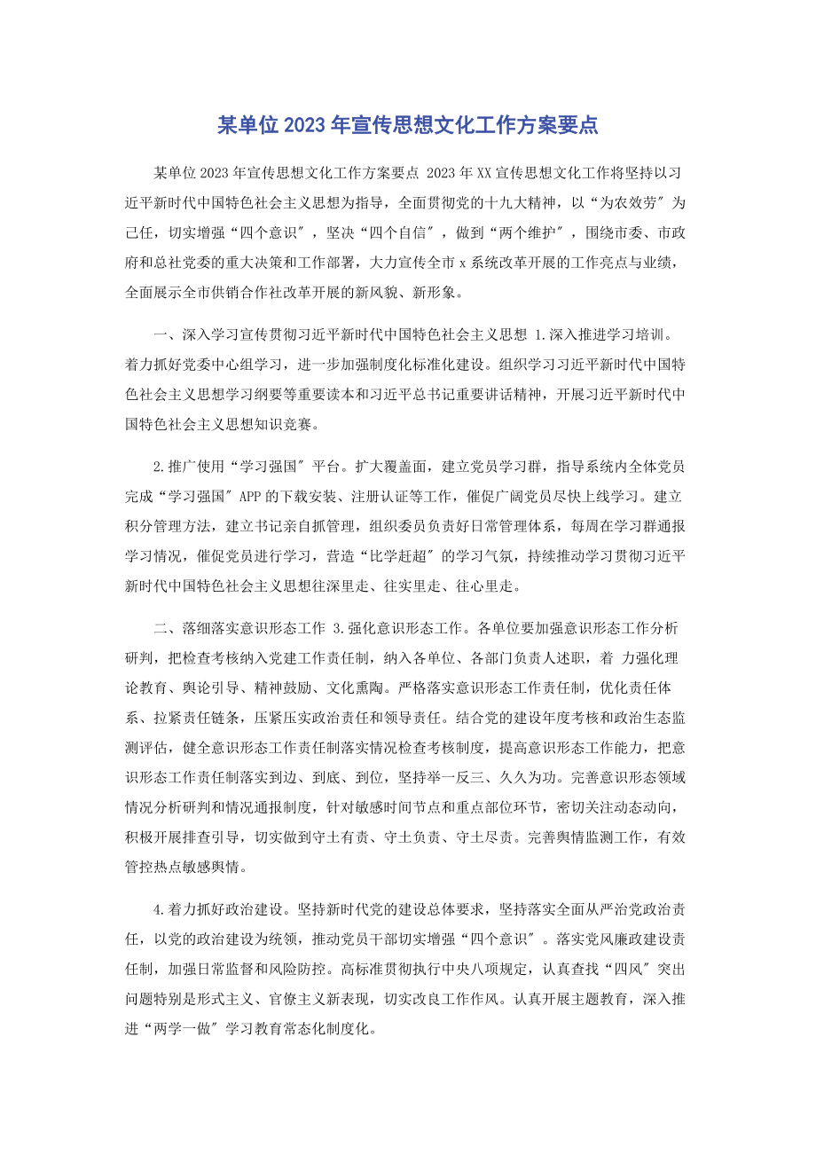 2023年某单位宣传思想文化工作计划要点.docx_第1页