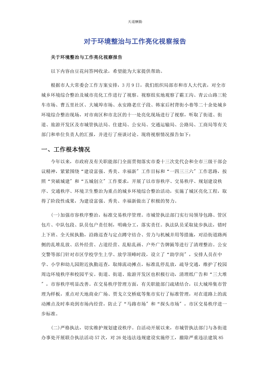 2023年对于环境整治与工作亮化视察报告.docx_第1页