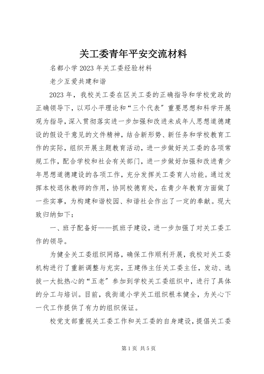 2023年关工委青年安全交流材料.docx_第1页