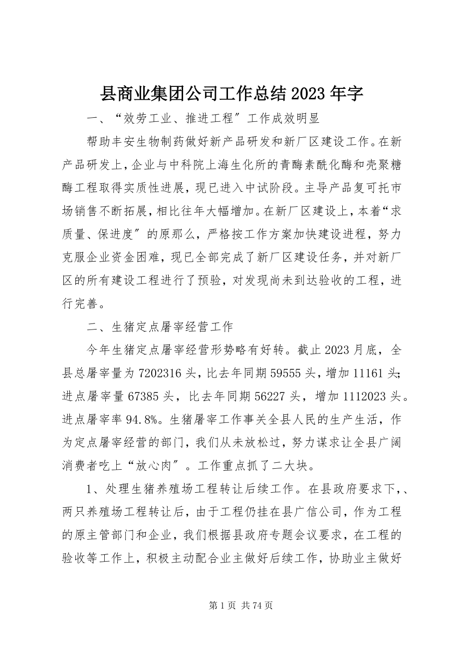 2023年县商业集团公司工作总结字.docx_第1页