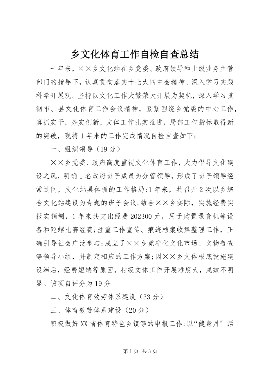 2023年乡文化体育工作自检自查总结.docx_第1页