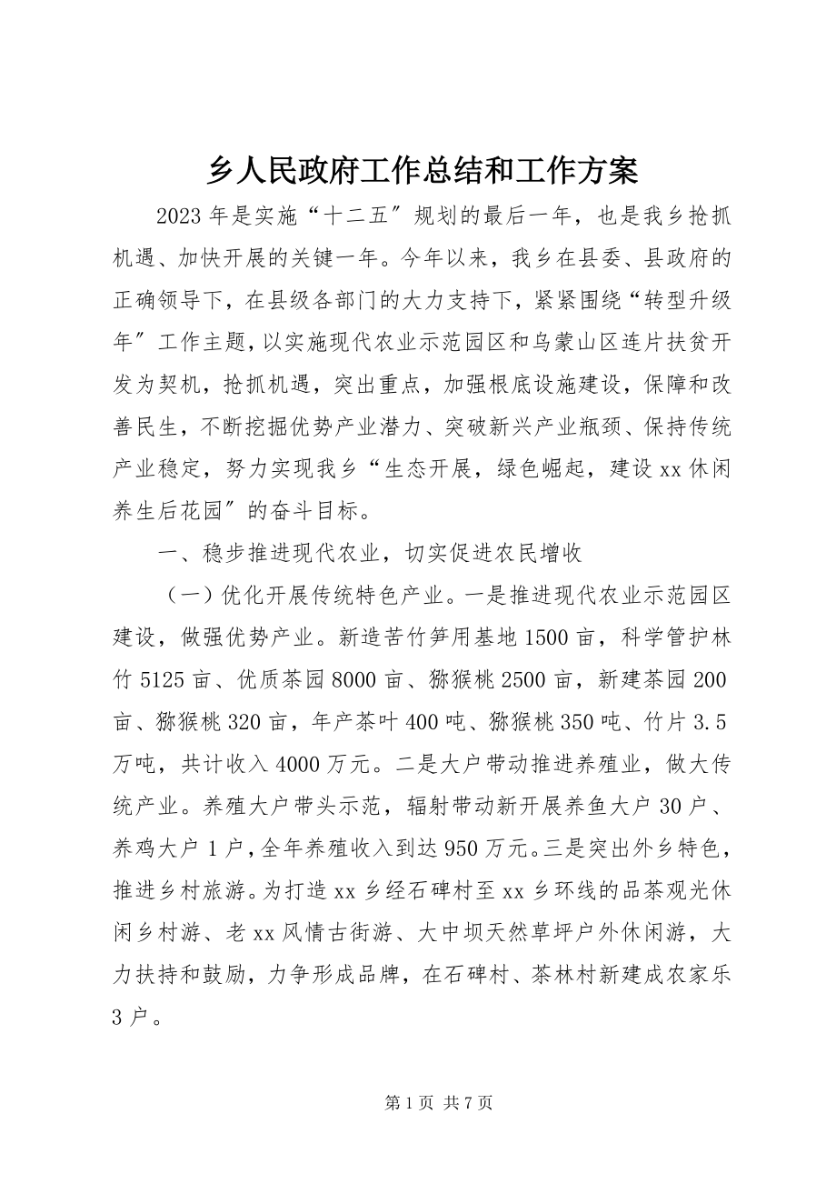 2023年乡人民政府工作总结和工作计划.docx_第1页