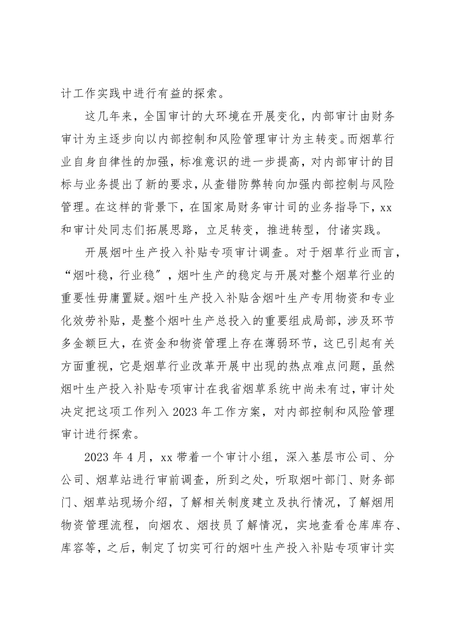 2023年单位内部审计工作先进个人事迹材料.docx_第3页