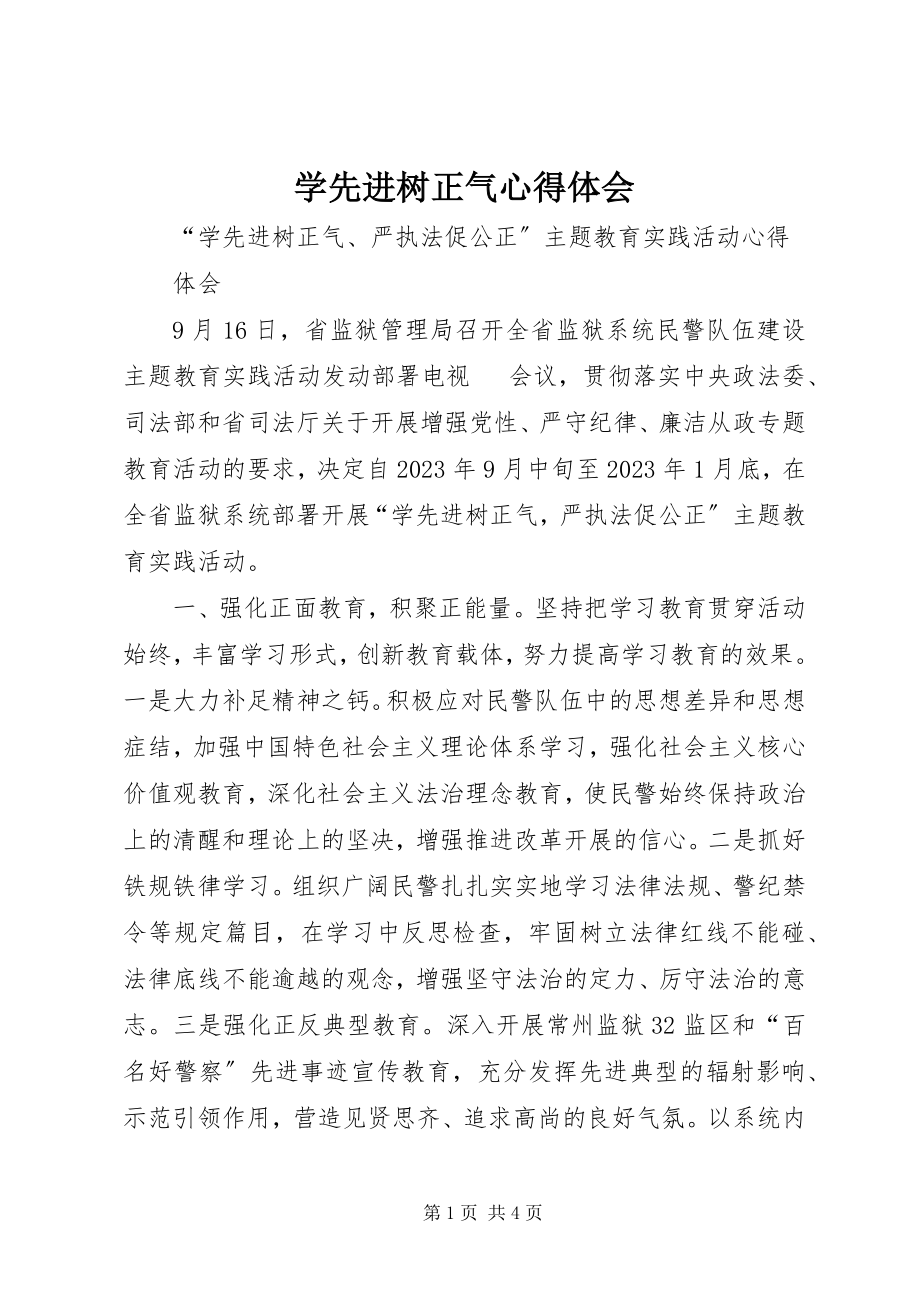 2023年学先进树正气心得体会.docx_第1页