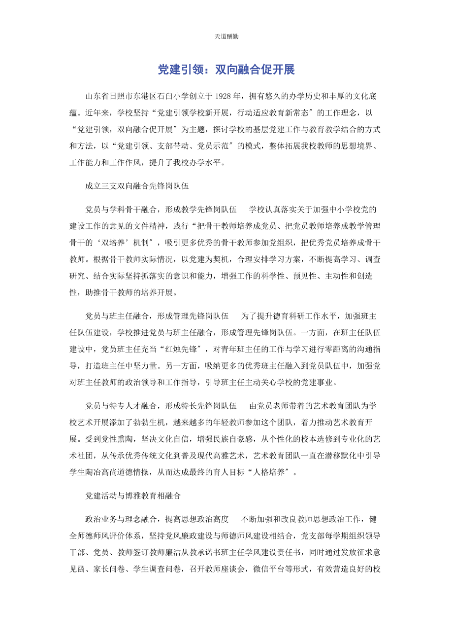 2023年党建引领双向融合促发展.docx_第1页