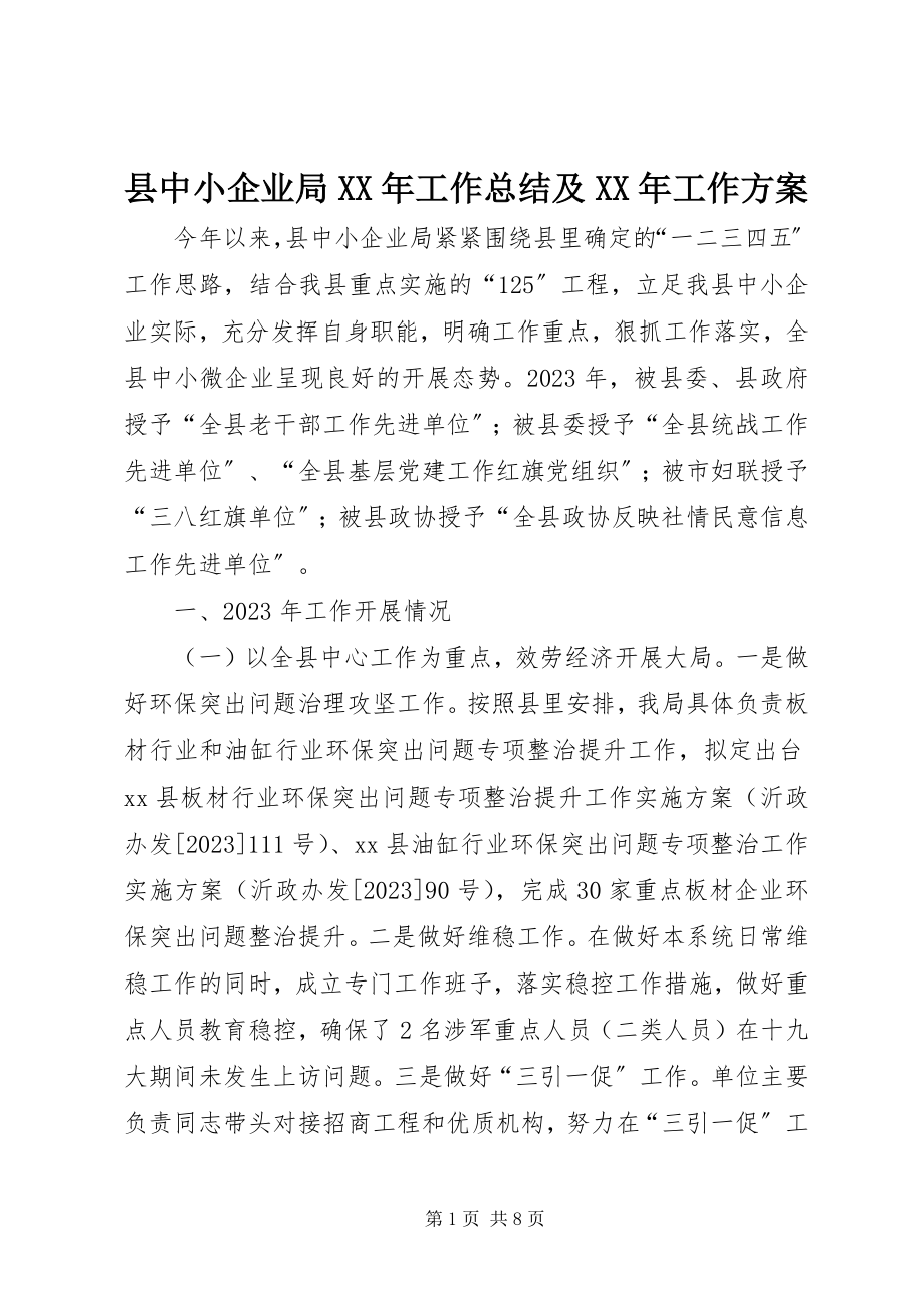 2023年县中小企业局工作总结及工作计划2.docx_第1页