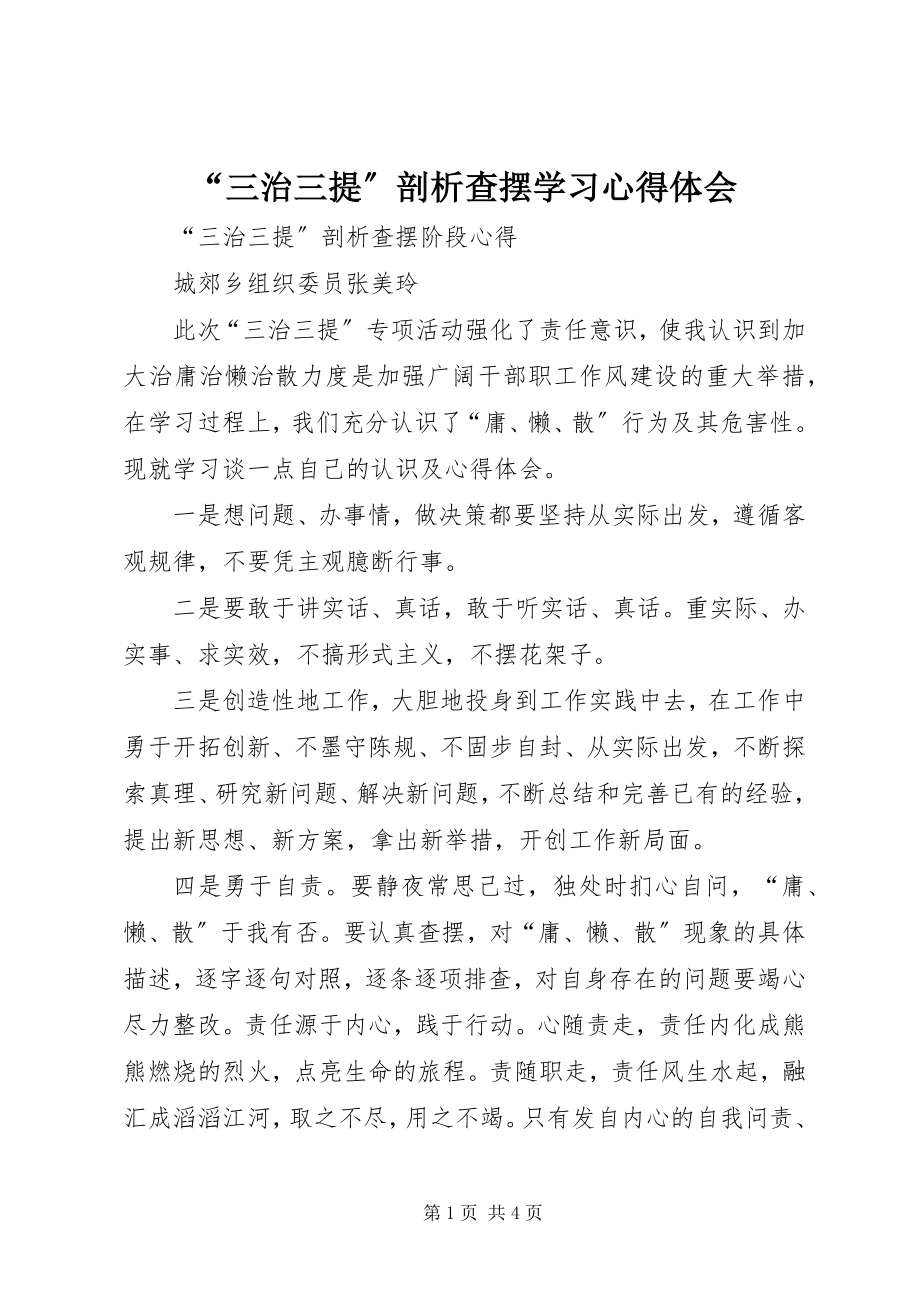 2023年三治三提剖析查摆学习心得体会.docx_第1页