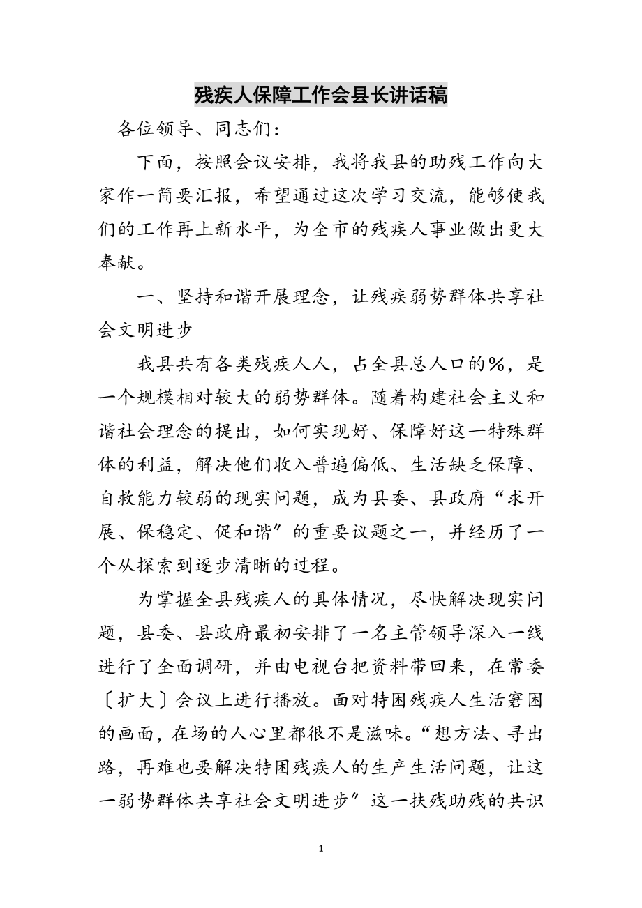 2023年残疾人保障工作会县长讲话稿范文.doc_第1页