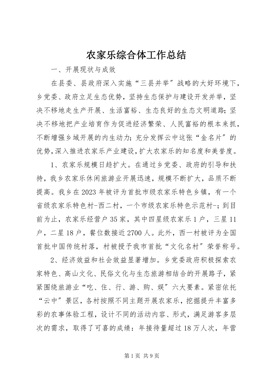 2023年农家乐综合体工作总结.docx_第1页