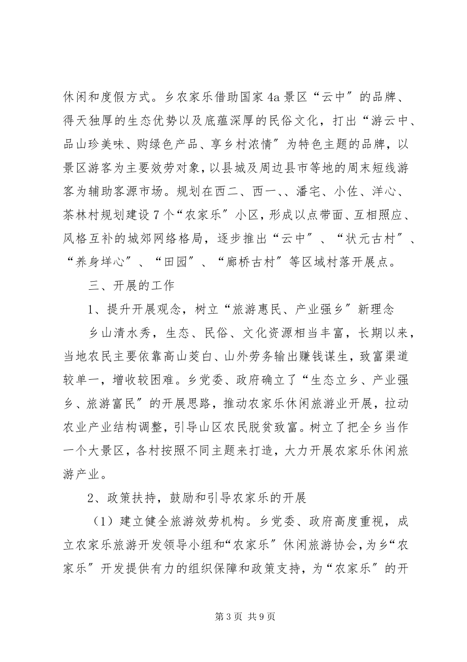 2023年农家乐综合体工作总结.docx_第3页