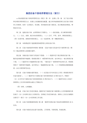 2023年集团有限公司后备干部培养管理办法暂行.docx