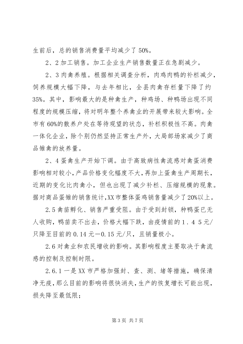 2023年禽流感对南京高淳养禽业的影响及对策.docx_第3页