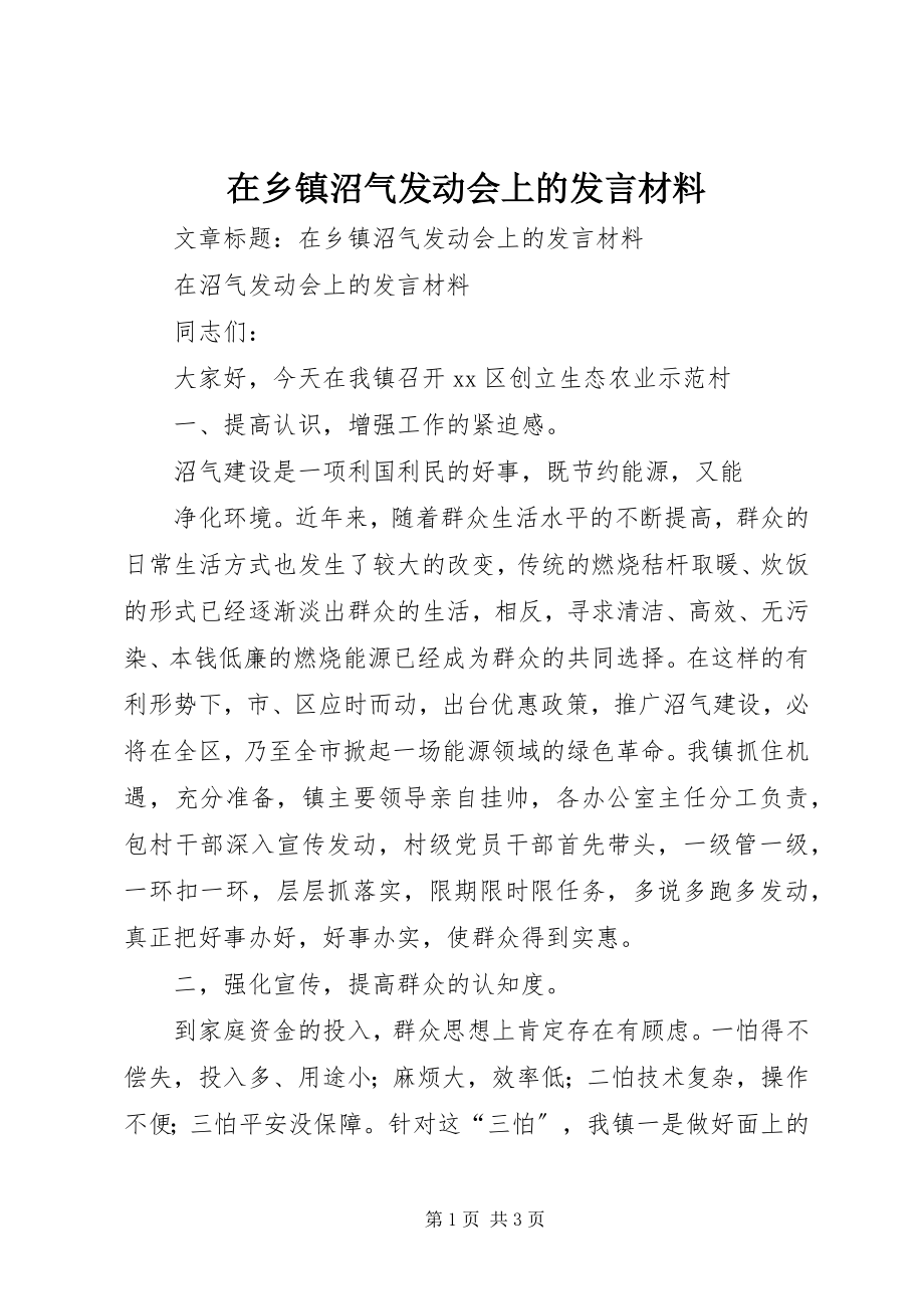 2023年在乡镇沼气动员会上的讲话材料.docx_第1页