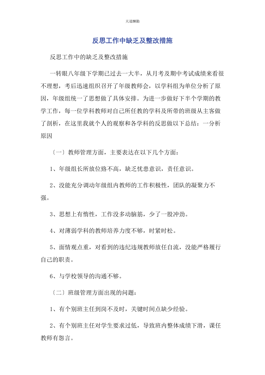 2023年反思工作中不足及整改措施.docx_第1页