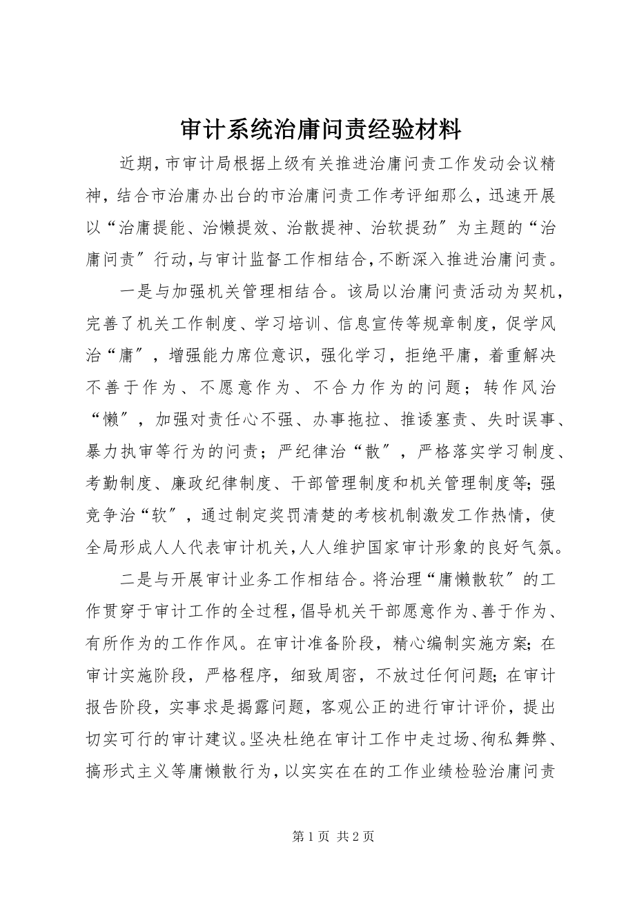 2023年审计系统治庸问责经验材料.docx_第1页