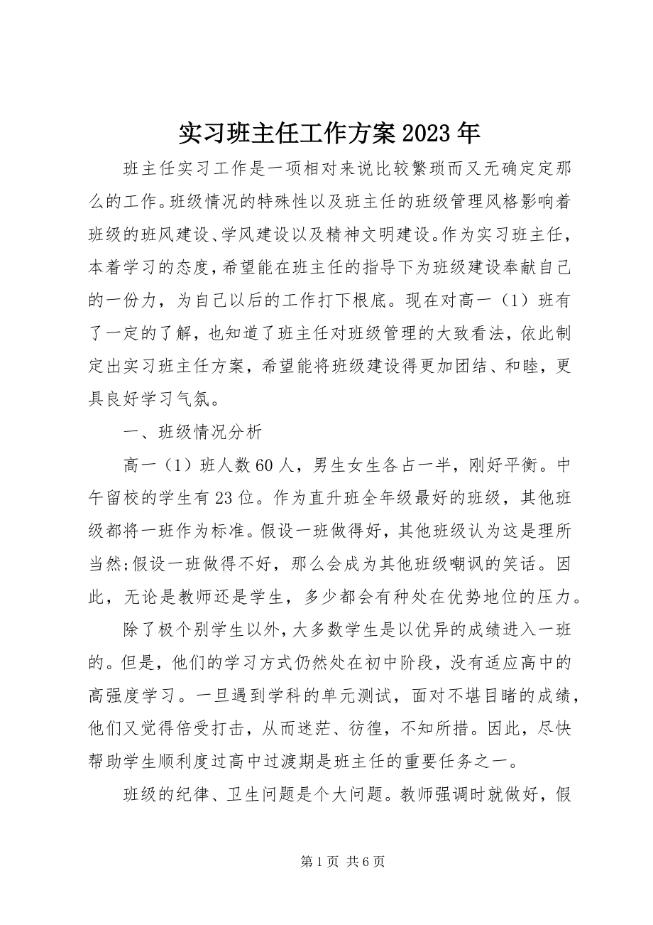 2023年实习班主任工作计划3.docx_第1页