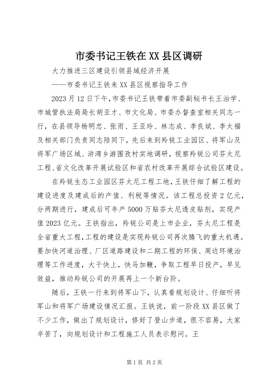 2023年市委书记王铁在XX县区调研.docx_第1页