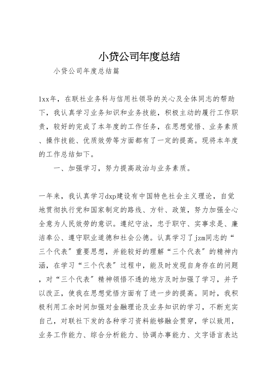 2023年小贷公司年度总结新编.doc_第1页