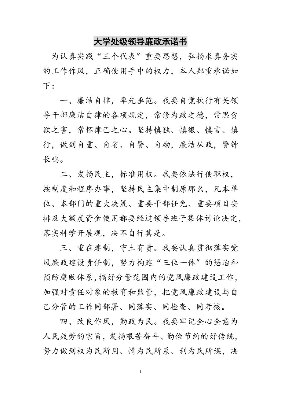 2023年大学处级领导廉政承诺书范文.doc_第1页