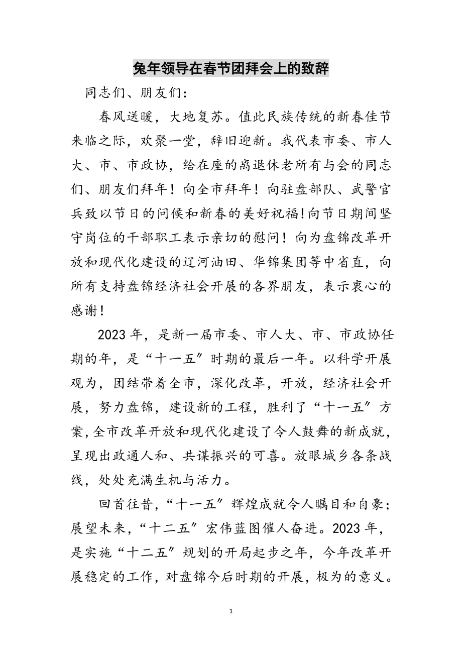 2023年兔年领导在春节团拜会上的致辞范文.doc_第1页