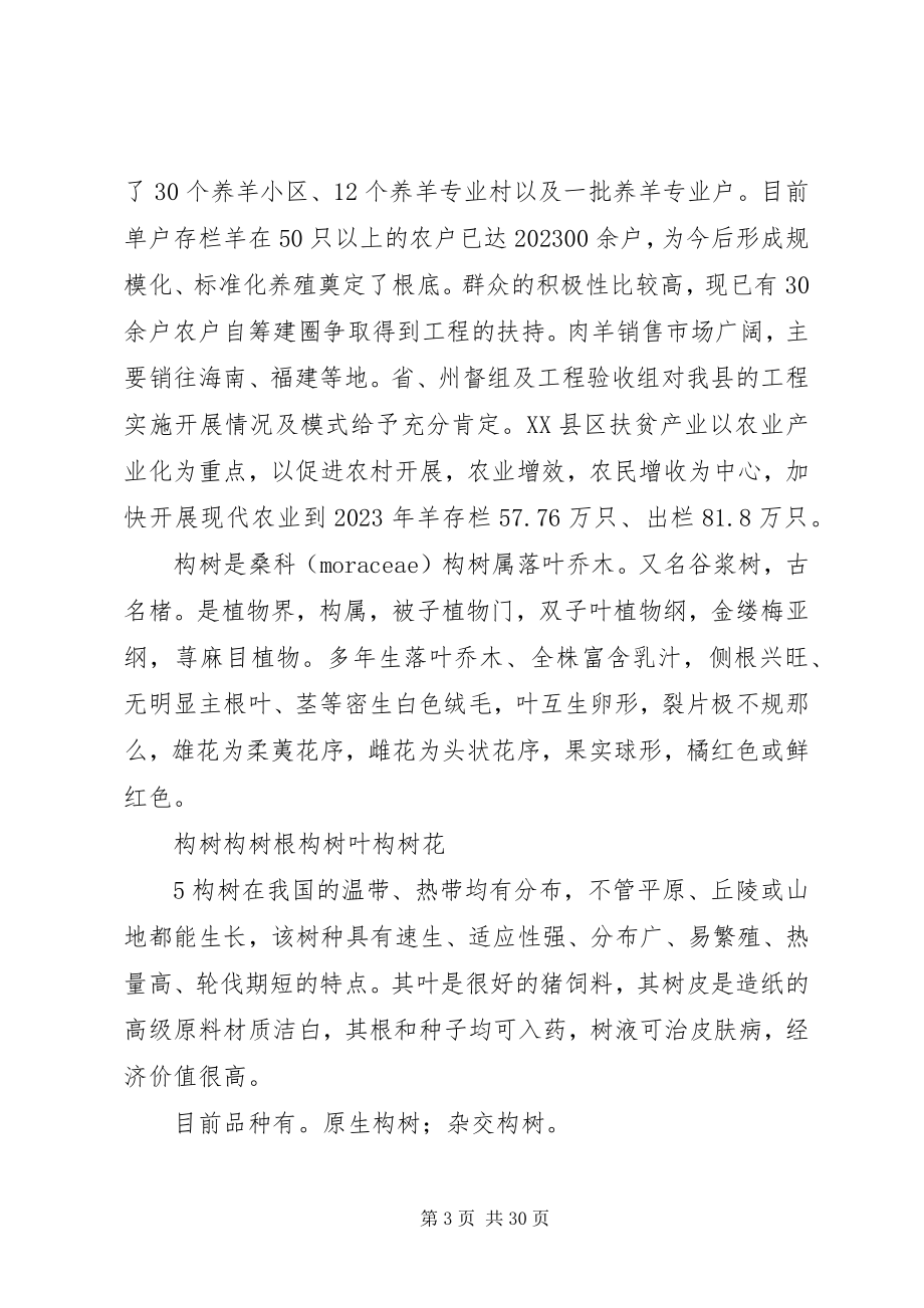 2023年构树扶贫工程试点方案.docx_第3页