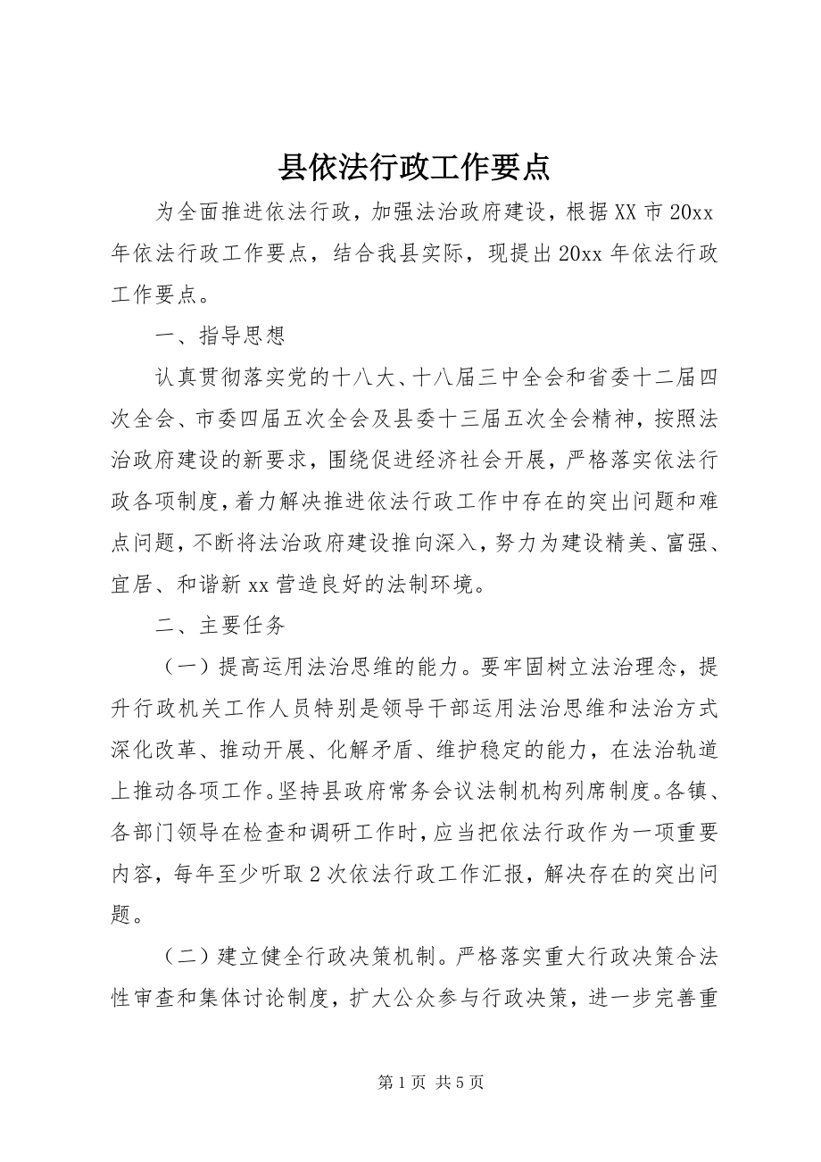 2023年县依法行政工作要点.docx_第1页