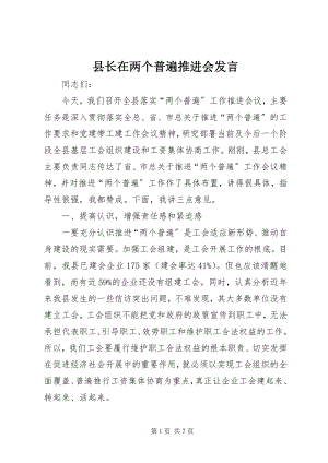 2023年县长在两个普遍推进会讲话.docx