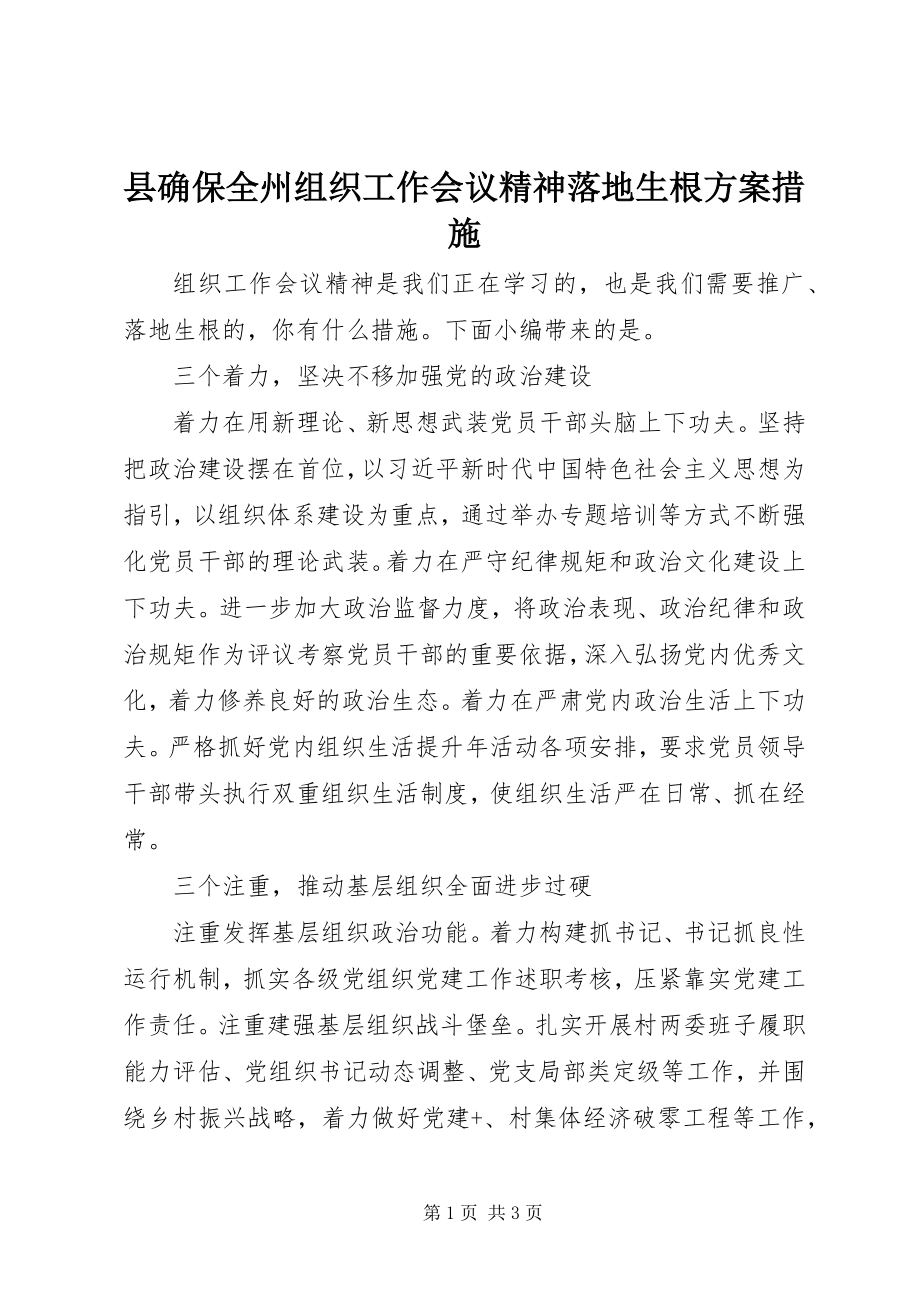 2023年县确保全州组织工作会议精神落地生根方案措施.docx_第1页