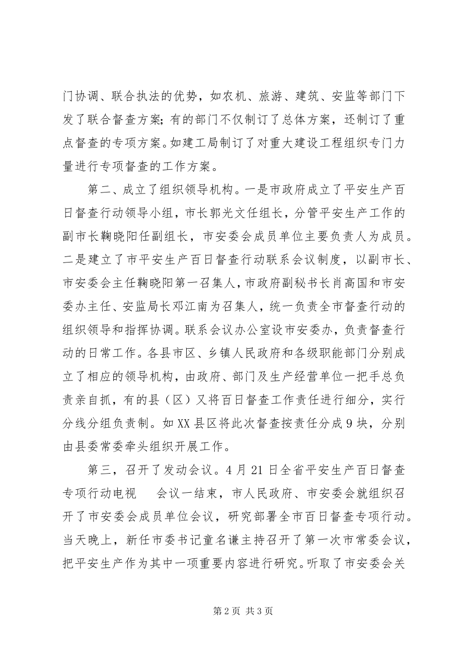 2023年市安全生产“百日督查”行动总结.docx_第2页