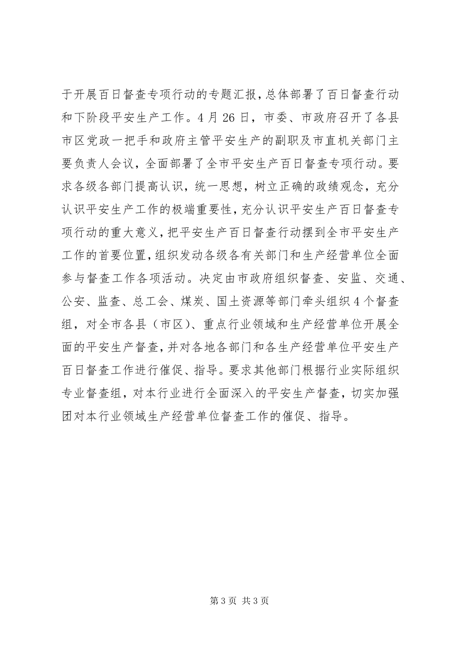 2023年市安全生产“百日督查”行动总结.docx_第3页