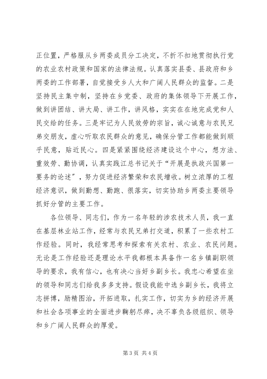 2023年副乡长竞职讲演词.docx_第3页