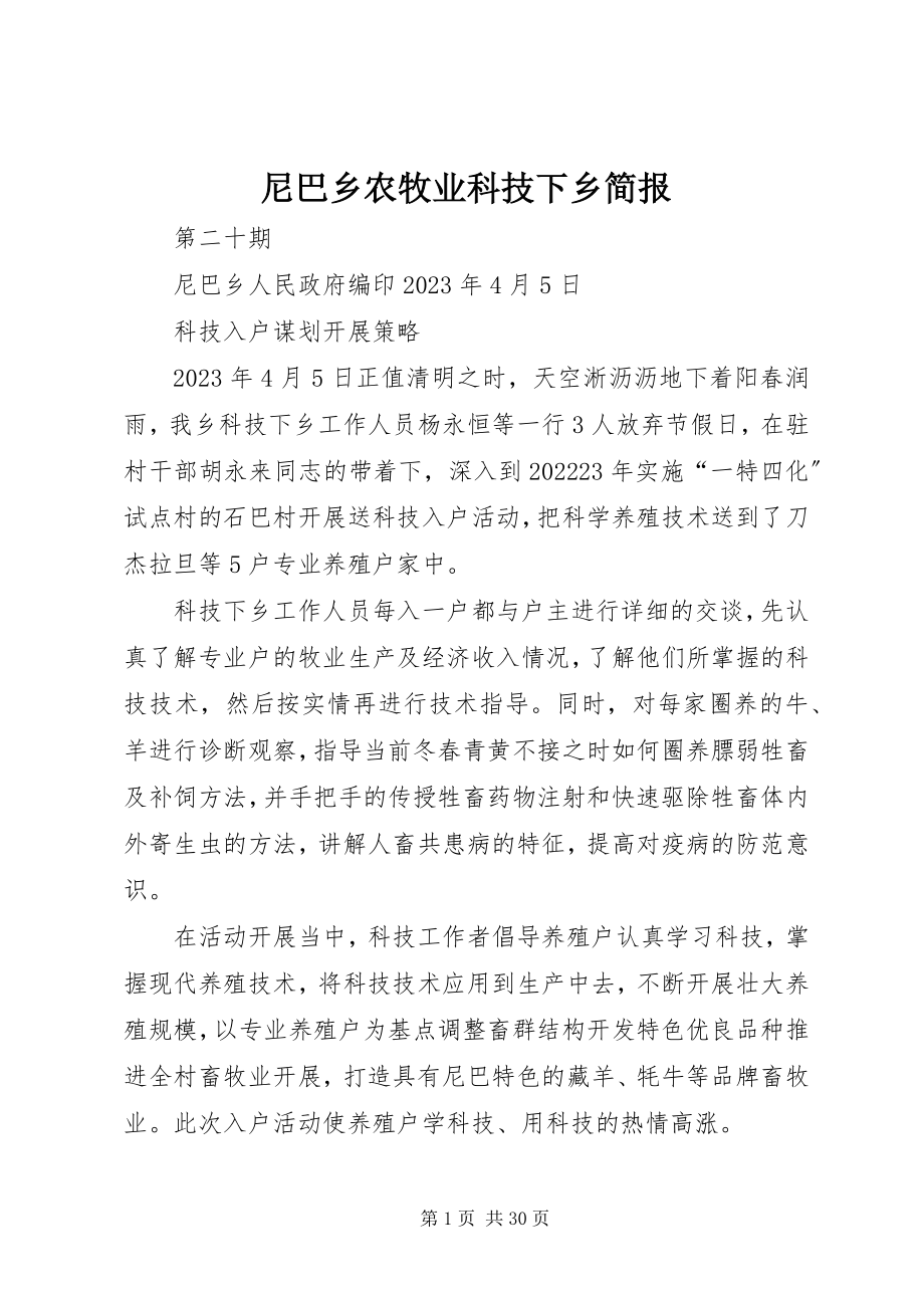 2023年尼巴乡农牧业科技下乡简报.docx_第1页