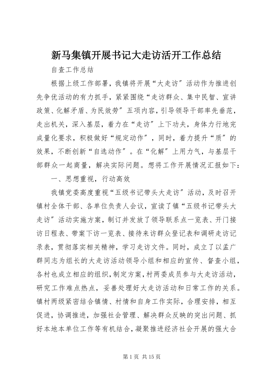 2023年新马集镇开展书记大走访活动工作总结.docx_第1页