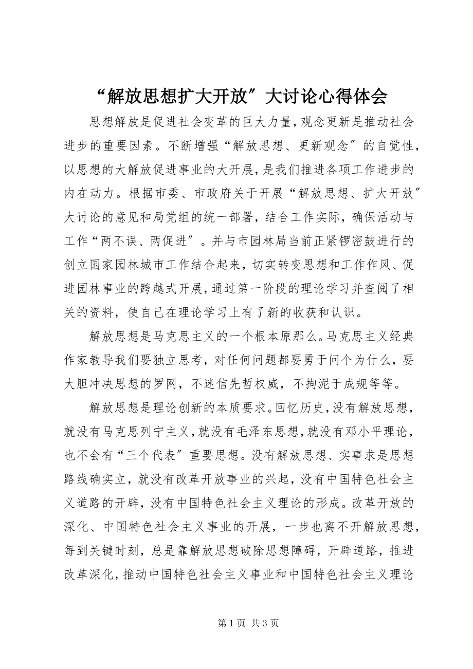 2023年解放思想扩大开放大讨论心得体会.docx_第1页