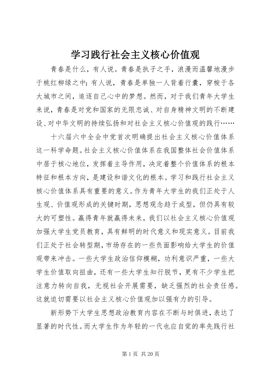 2023年学习践行社会主义核心价值观.docx_第1页