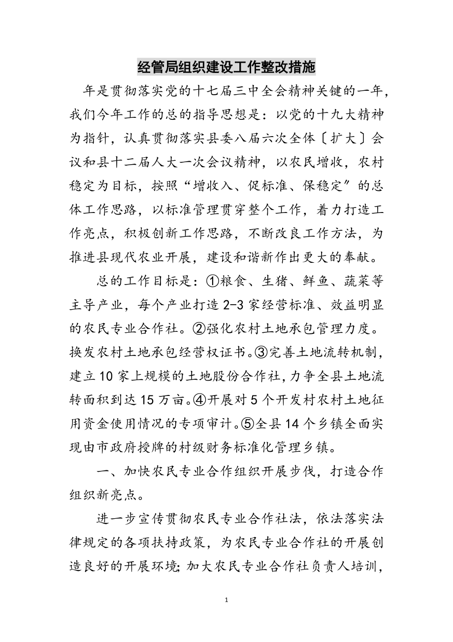 2023年经管局组织建设工作整改措施范文.doc_第1页