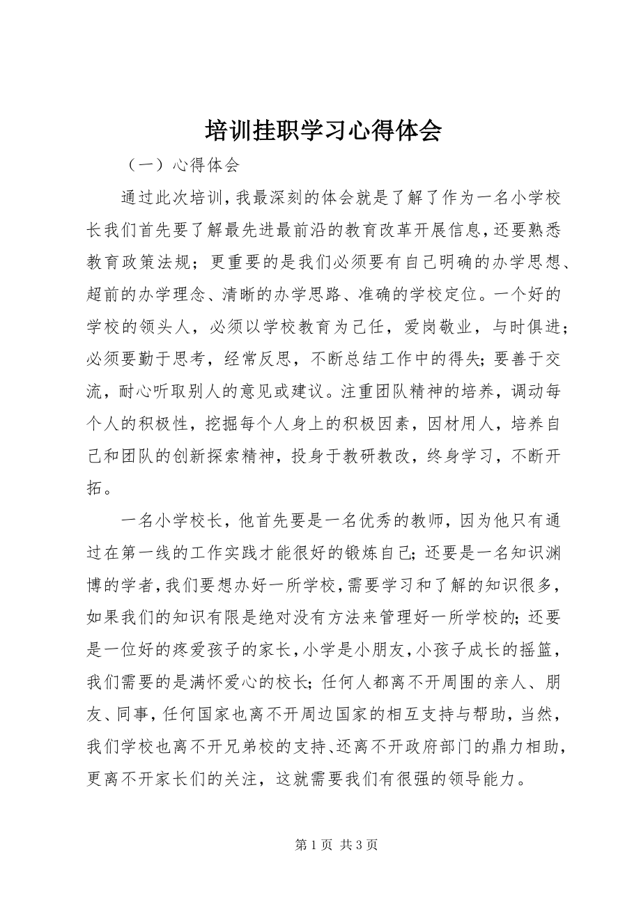 2023年培训挂职学习心得体会.docx_第1页