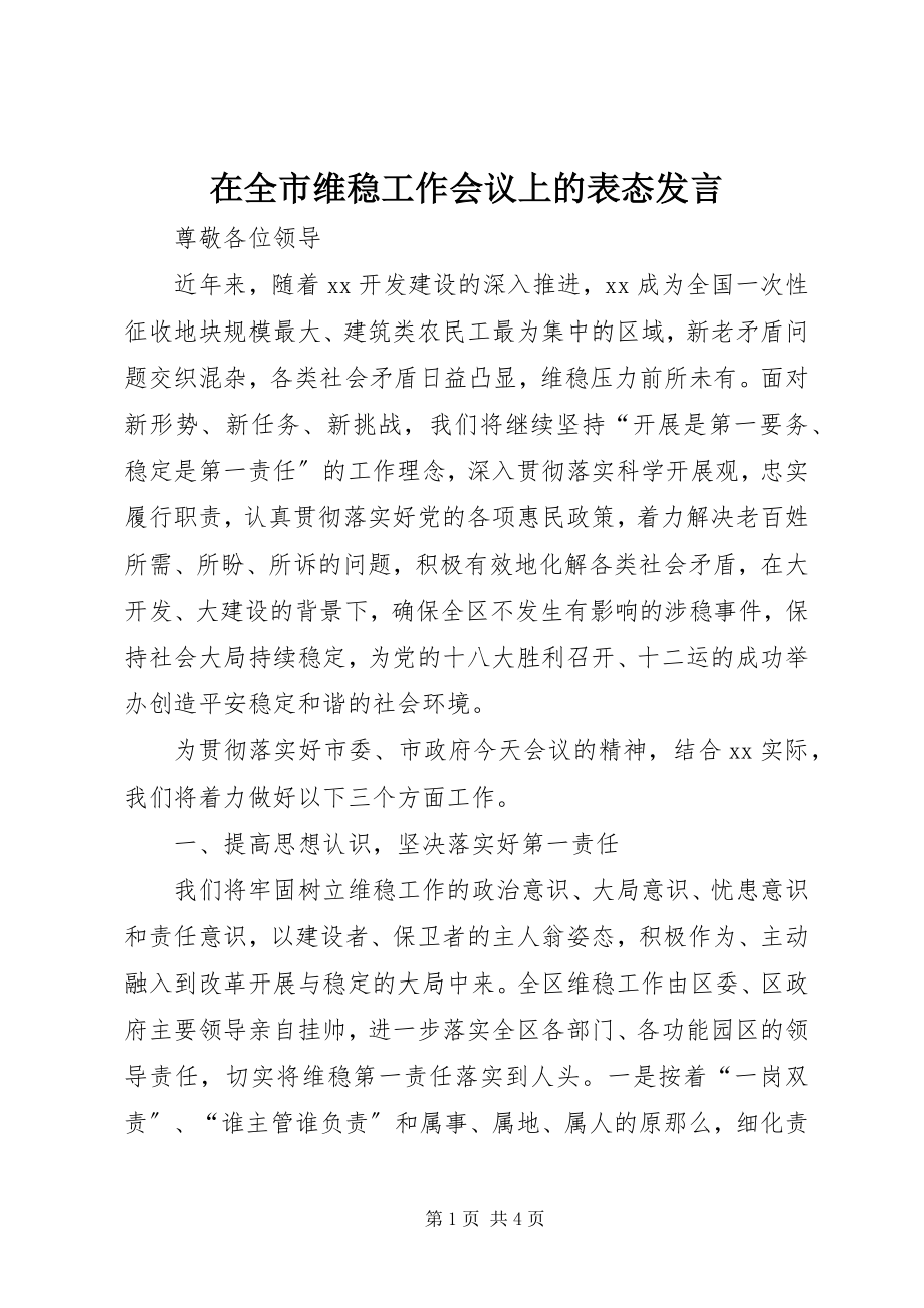 2023年在全市维稳工作会议上的表态讲话.docx_第1页